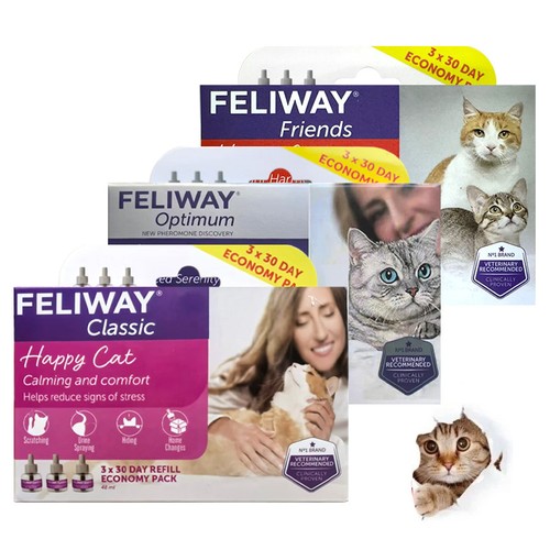 Lway vorteilspack - fe/lway,