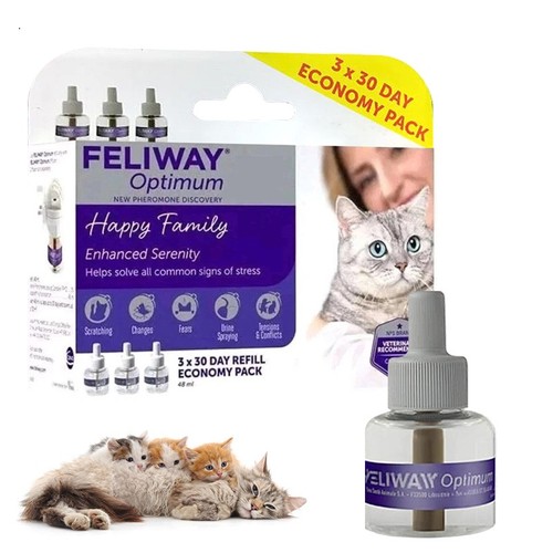 Neue katzen pheromon - katzen,