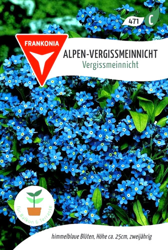 Alpen vergissmeinnicht mit - alpen-vergissmeinnicht,
